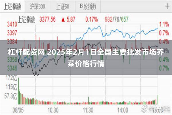 杠杆配资网 2025年2月1日全国主要批发市场芥菜价格行情