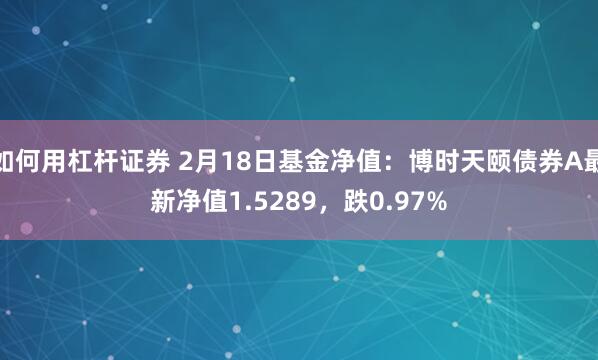 如何用杠杆证券 2月18日基金净值：博时天颐债券A最新净值1.5289，跌0.97%