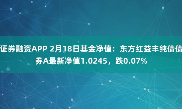 证券融资APP 2月18日基金净值：东方红益丰纯债债券A最新净值1.0245，跌0.07%