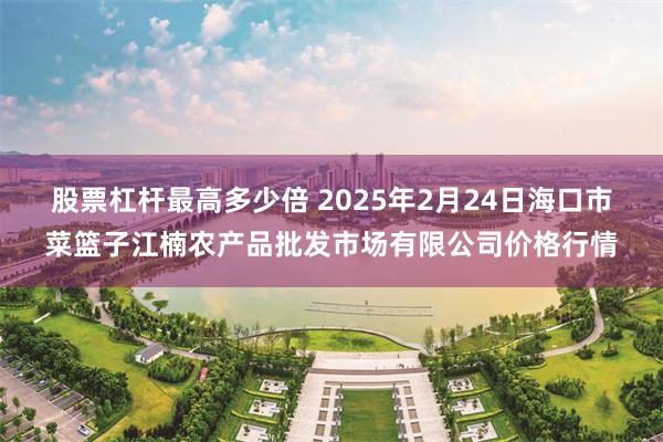 股票杠杆最高多少倍 2025年2月24日海口市菜篮子江楠农产品批发市场有限公司价格行情